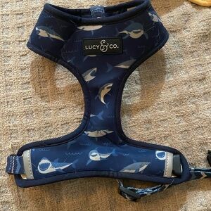 Lucy & Co. Shark Pattern Dog Harness - Blue